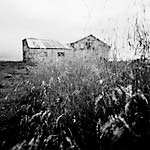 View Product Details