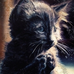 View Product Details