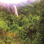 View Product Details